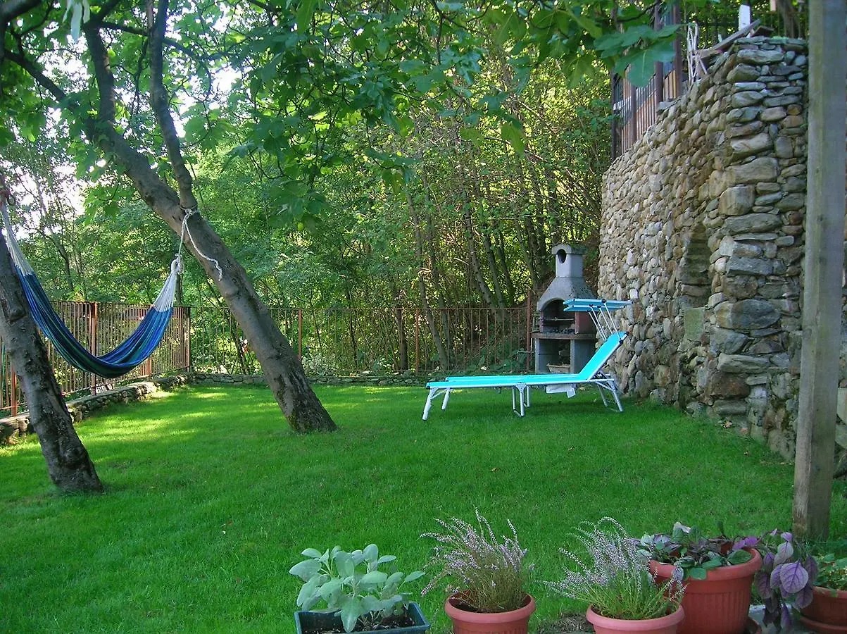 B&B Al Carotin Mantello